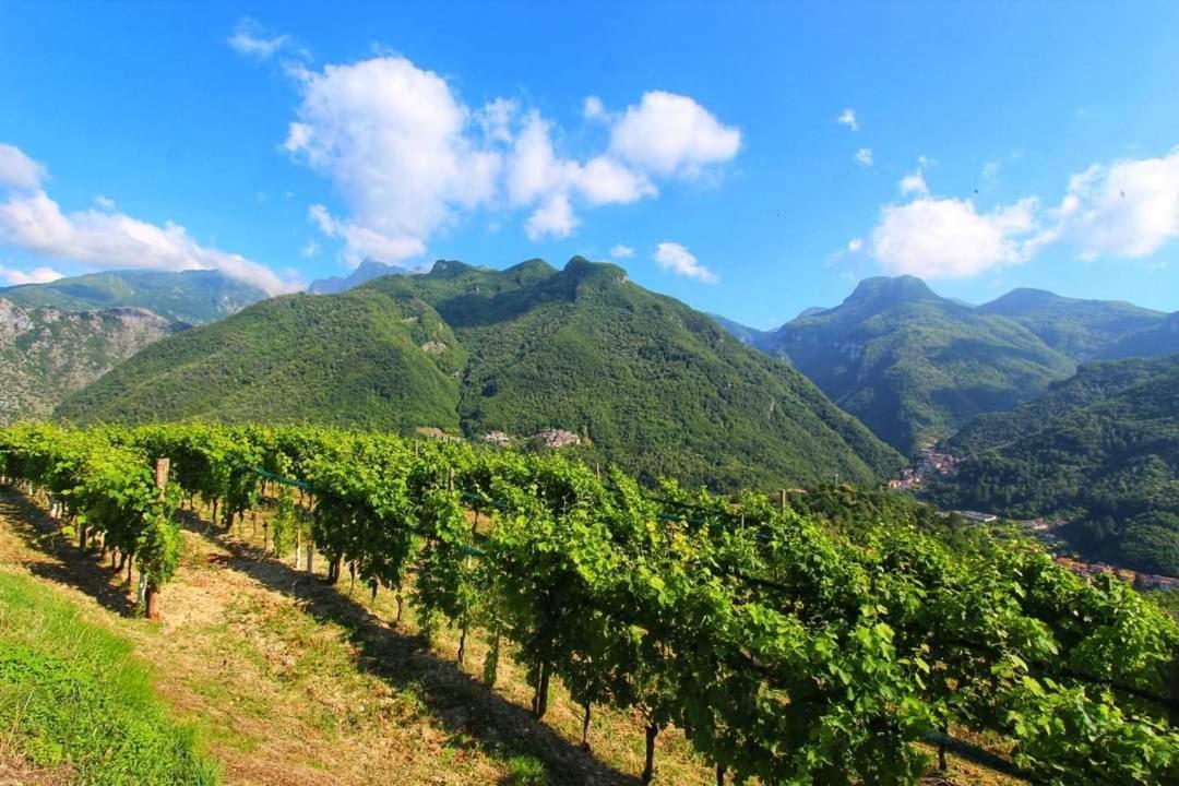 Casa Silvana Equi Terme Zewnętrze zdjęcie